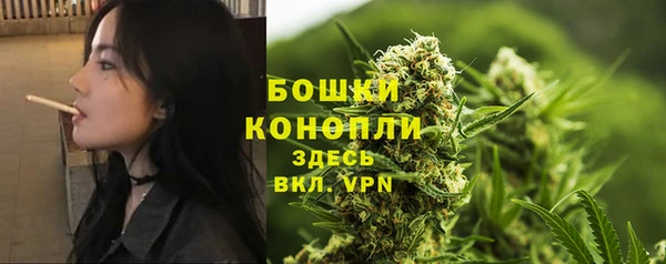 ALPHA PVP Покачи
