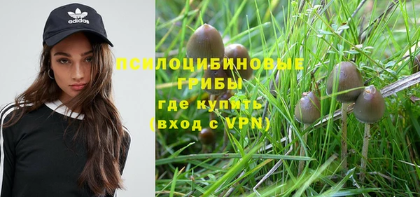 бошки Узловая