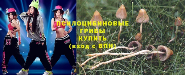мескалин Удомля